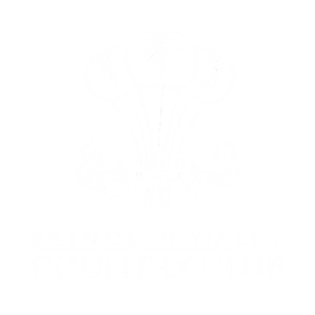 prince logo final